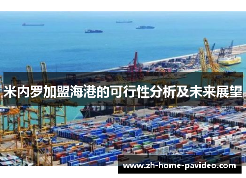 米内罗加盟海港的可行性分析及未来展望