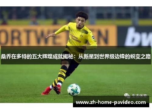 桑乔在多特的五大辉煌成就揭秘：从新星到世界级边锋的蜕变之路