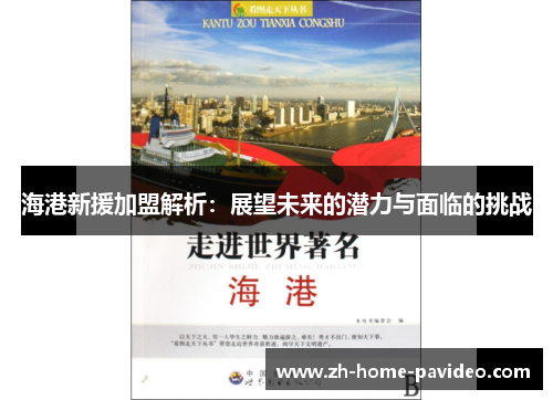 海港新援加盟解析：展望未来的潜力与面临的挑战