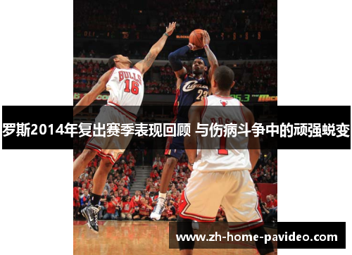 罗斯2014年复出赛季表现回顾 与伤病斗争中的顽强蜕变