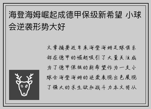 海登海姆崛起成德甲保级新希望 小球会逆袭形势大好