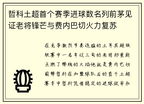 哲科土超首个赛季进球数名列前茅见证老将锋芒与费内巴切火力复苏